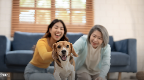 Mascotas: un vínculo mucho más allá de la compañía